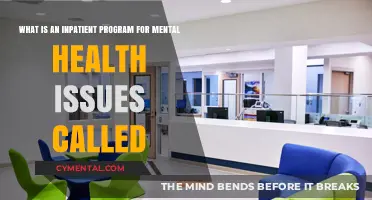 Understanding Inpatient Mental Health Programs: A Comprehensive Guide