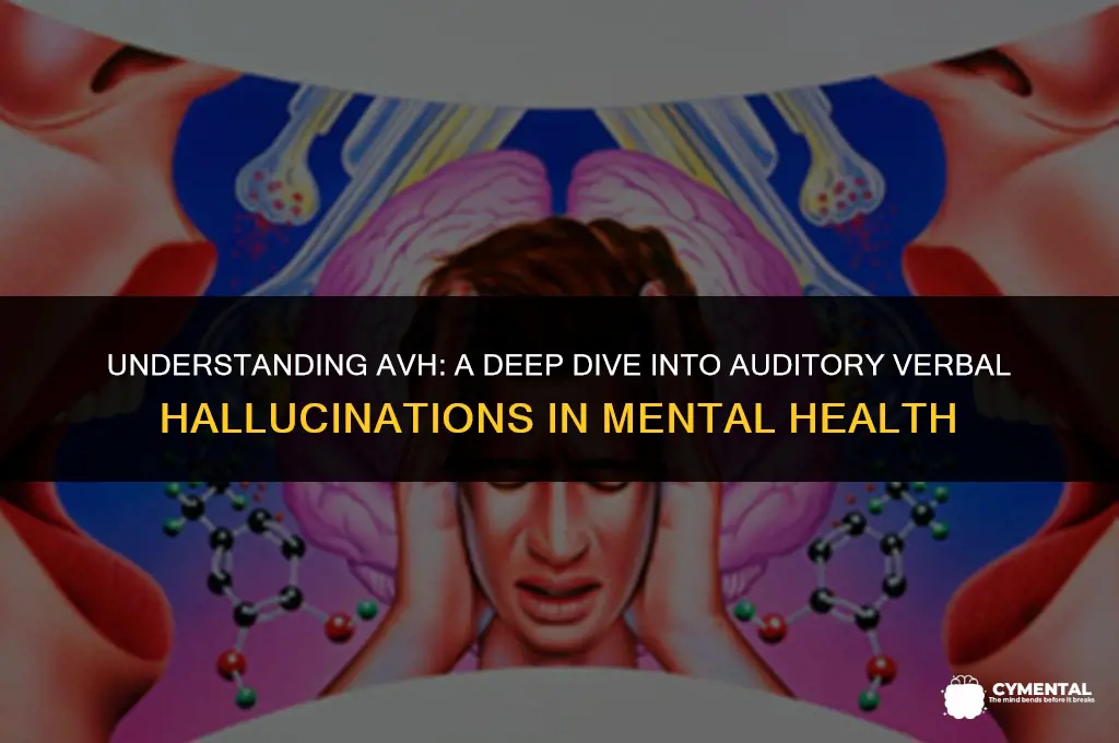 what is avh in mental health