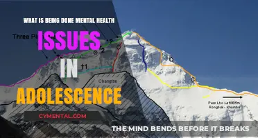 Addressing Mental Health Challenges in Adolescence: Current Initiatives and Strategies