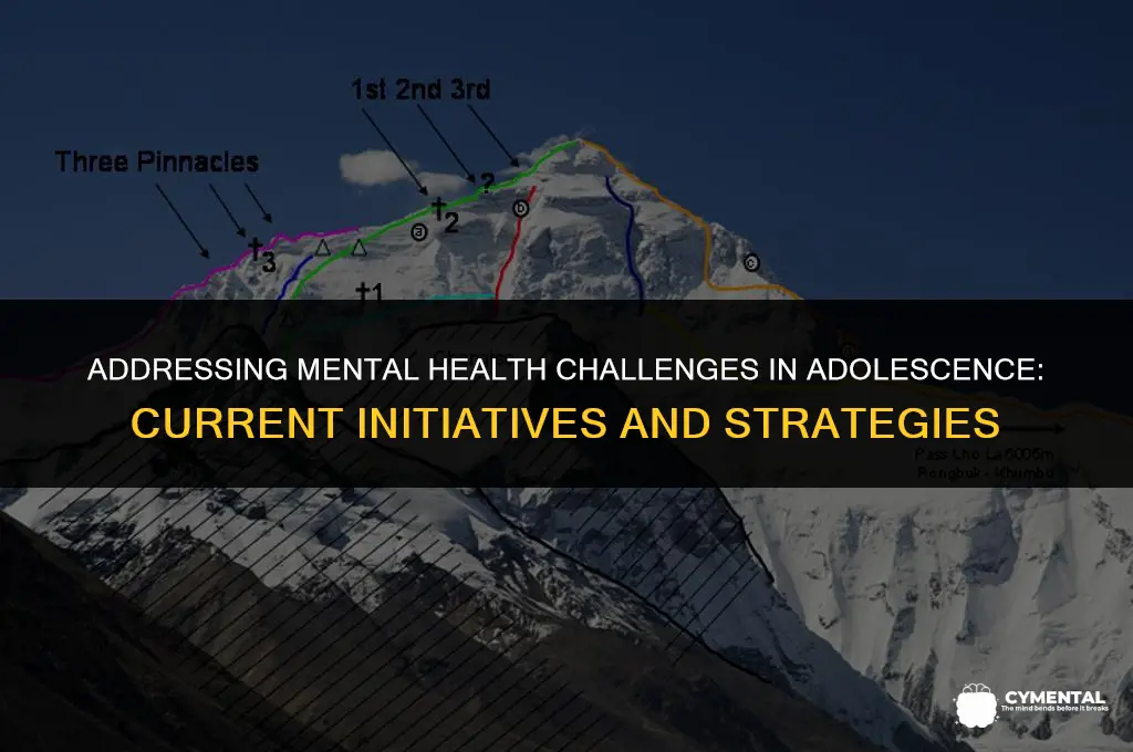 what is being done mental health issues in adolescence