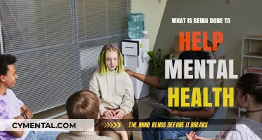 Advancing Mental Health Support: Initiatives, Innovations, and Community Efforts