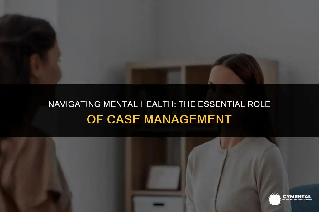 what is case management in mental health