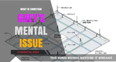Unraveling Christian Grey: A Psychological Perspective on His Mental Health