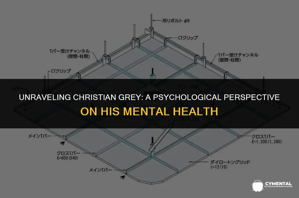 what is christian grey