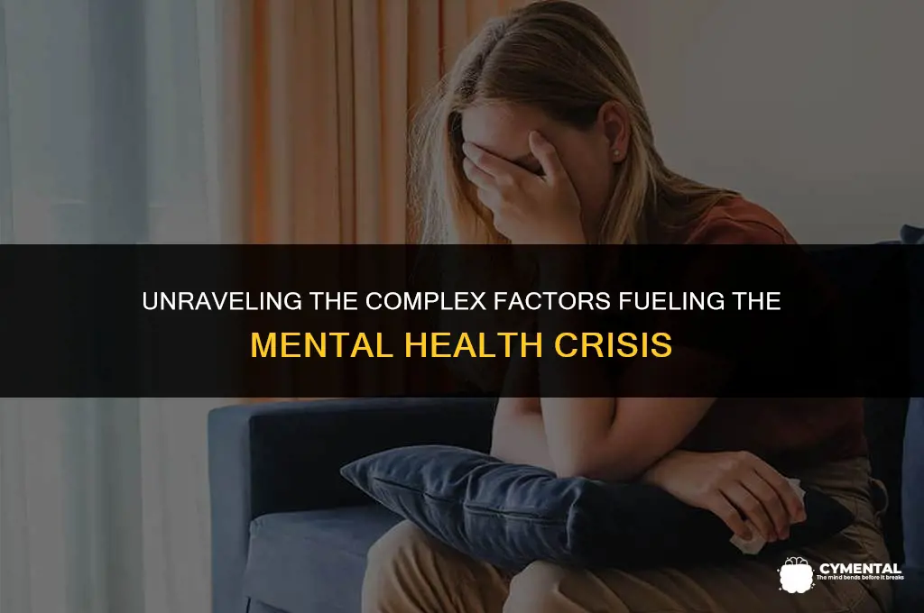 what is contributing to increase in mental health issues