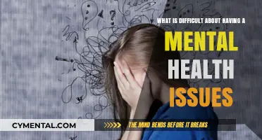 Navigating the Complexities of Mental Health Challenges