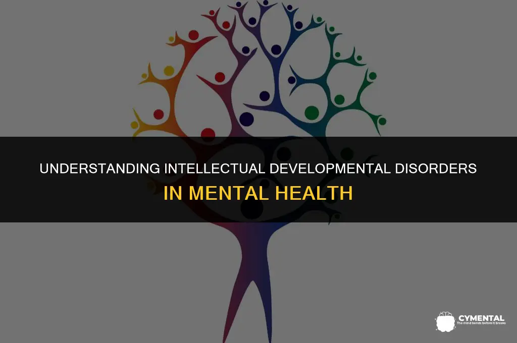 what is idd in mental health