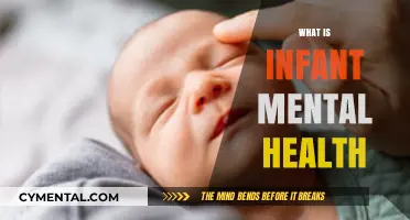Understanding Infant Mental Health: A Guide for New Parents