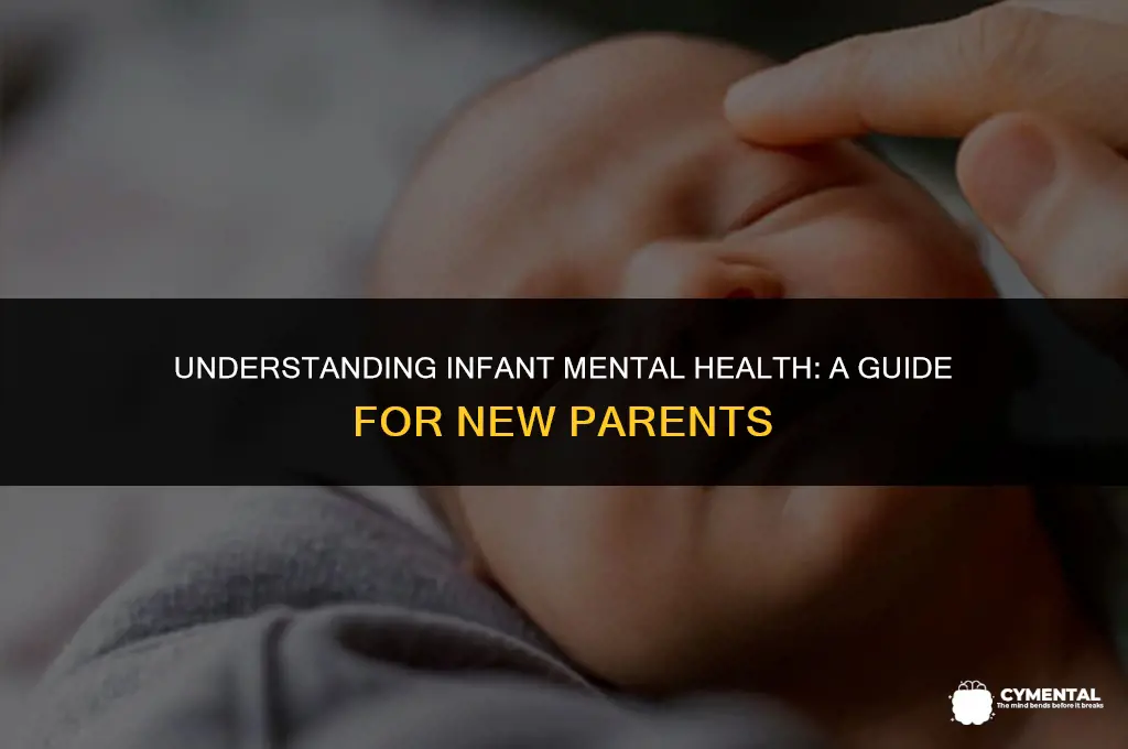 what is infant mental health