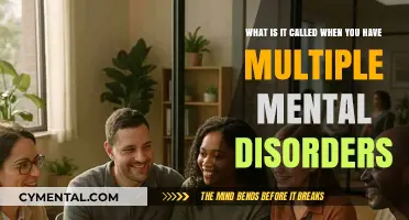 Understanding Comorbidity: When Multiple Mental Disorders Co-Occur