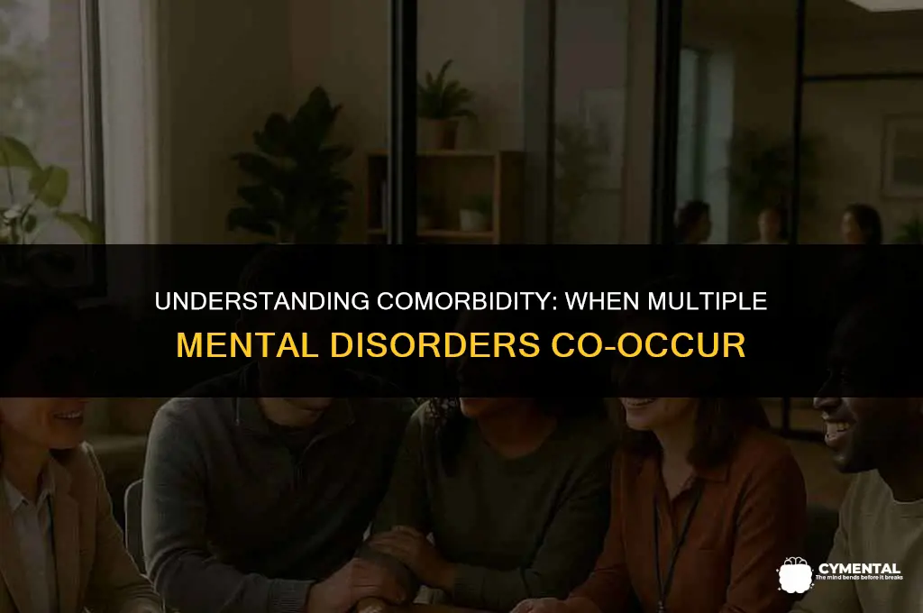 what is it called when you have multiple mental disorders