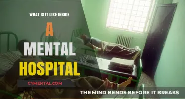 Exploring the Inner World: Life Inside a Mental Hospital