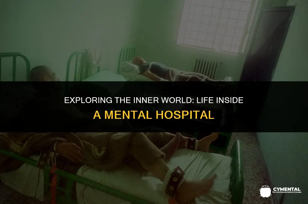 what is it like inside a mental hospital
