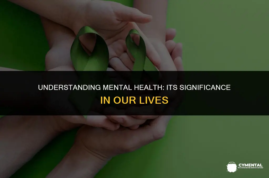 what is mental health and why is it important