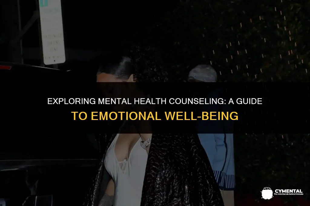 what is mental health counseling