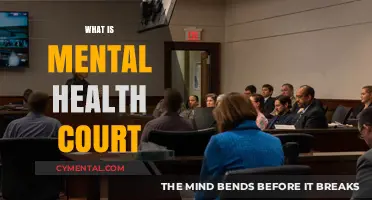 Exploring Mental Health Courts: A Compassionate Approach to Justice