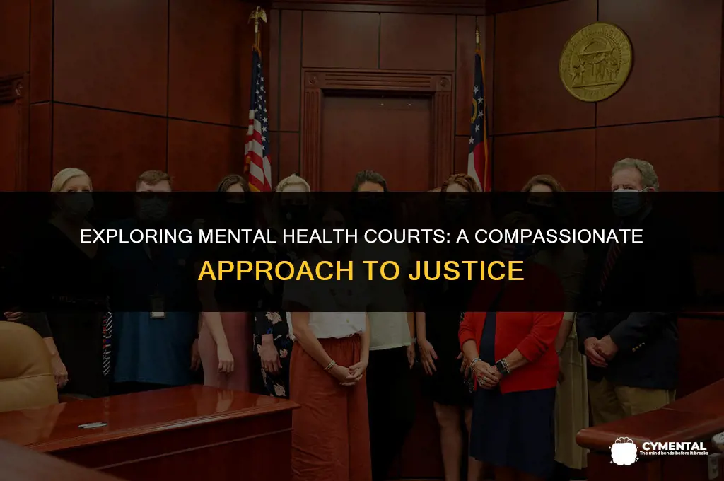 what is mental health court