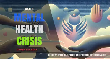 Understanding the Mental Health Crisis: A Comprehensive Guide
