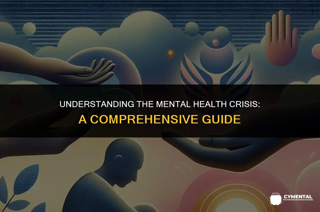 what is mental health crisis