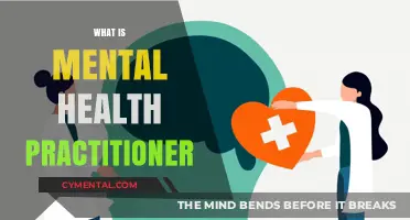 Understanding Mental Health Practitioners: Roles, Responsibilities, and Impact