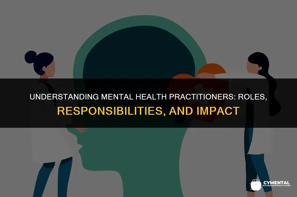 what is mental health practitioner