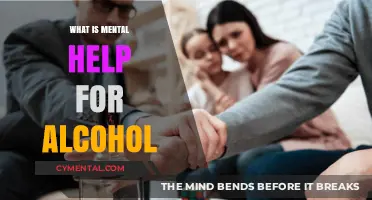 Understanding Mental Health Support for Alcohol Addiction Recovery