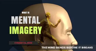 Exploring the Mind's Eye: Understanding Mental Imagery