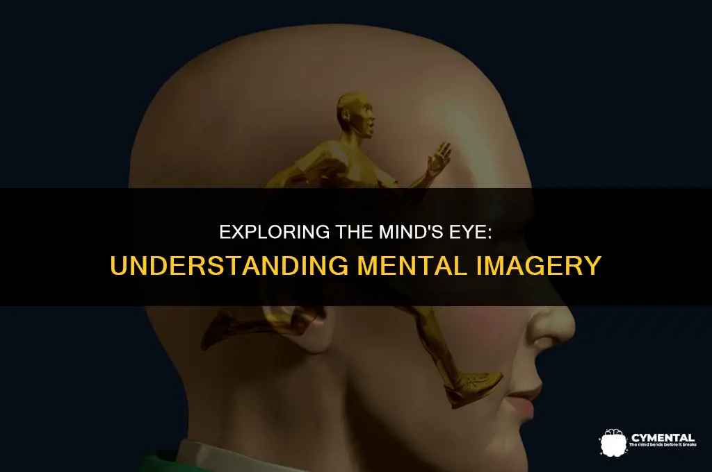 what is mental imagery
