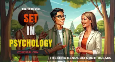 Exploring the Mental Set: How Psychology Defines It
