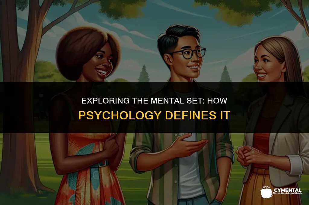 what is mental set in psychology