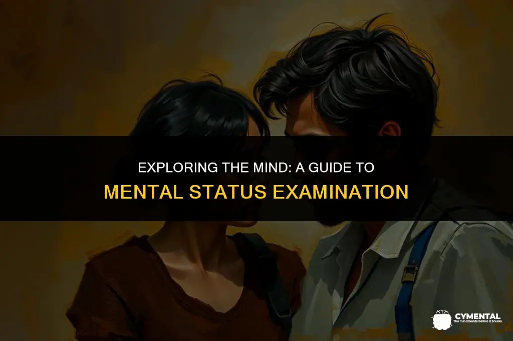 what is mental status examination
