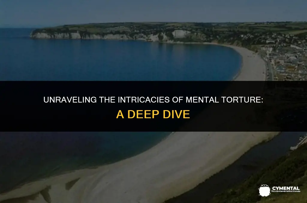 what is mental torture