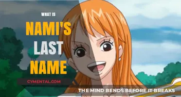 Unlocking the Mystery: What's Nami's Last Name in One Piece?