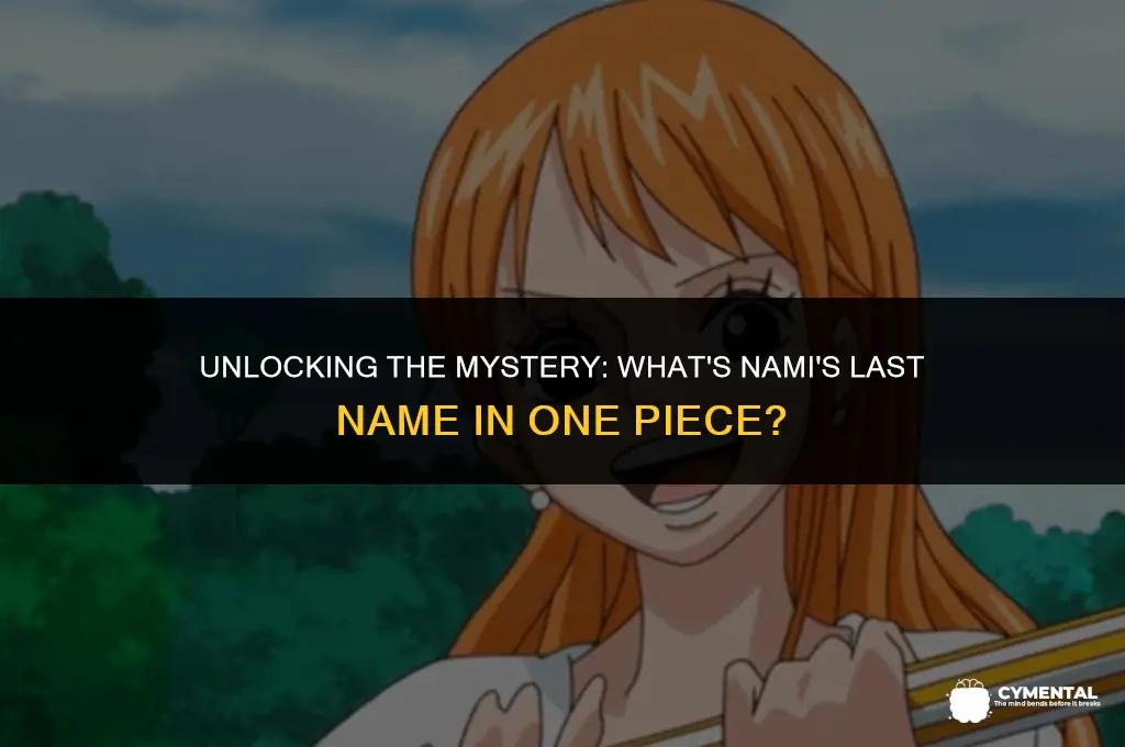 what is nami