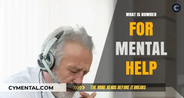 Seeking Support: Essential Mental Health Hotline Numbers to Know