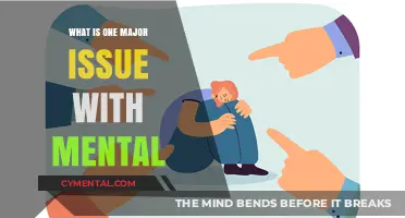 Unveiling the Complexity: A Critical Issue in Mental Health
