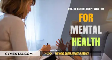 Understanding Partial Hospitalization: A Bridge to Mental Health Recovery