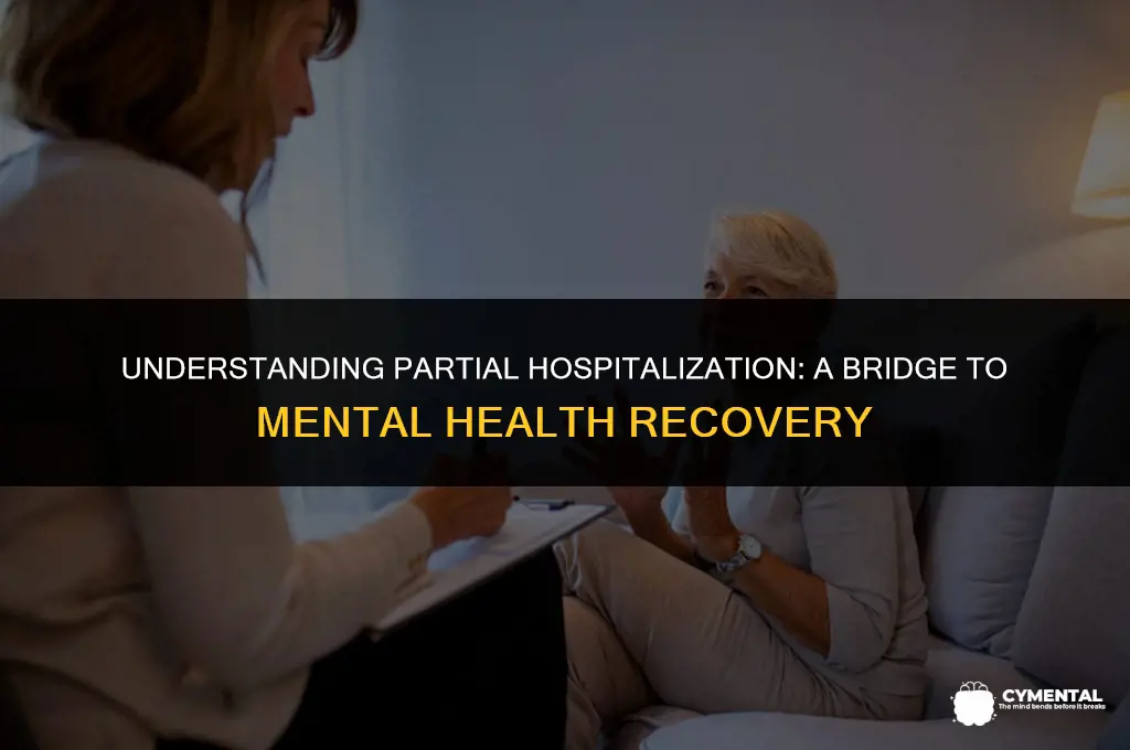 what is partial hospitalization for mental health