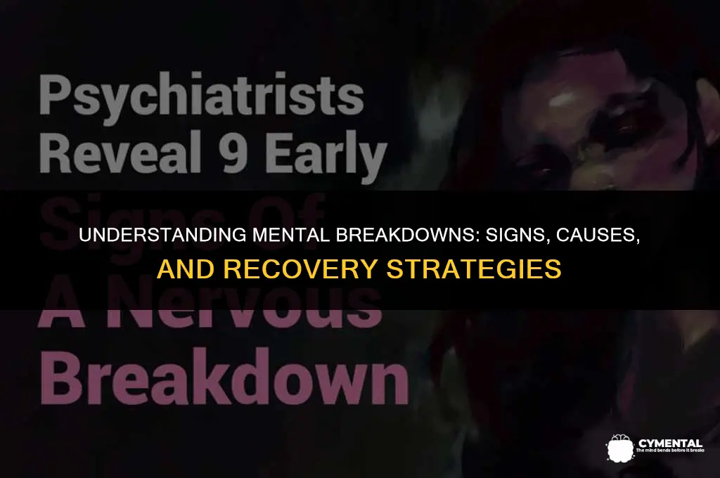 what is s mental breakdown