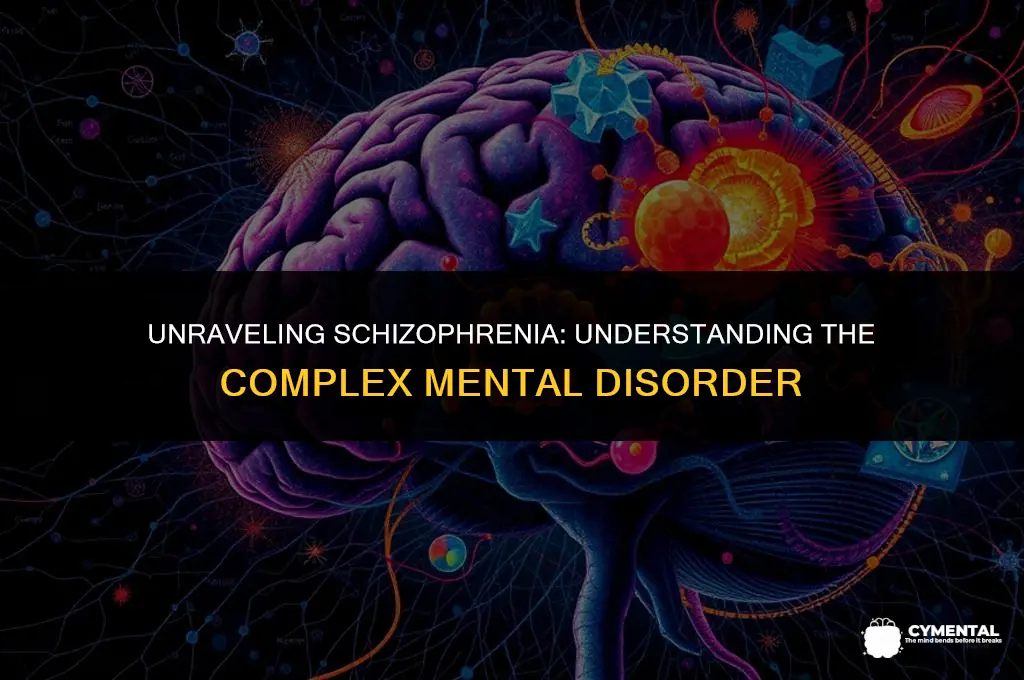 what is schizophrenia mental disorder