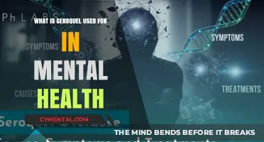 Exploring Seroquel's Role in Mental Health Treatment