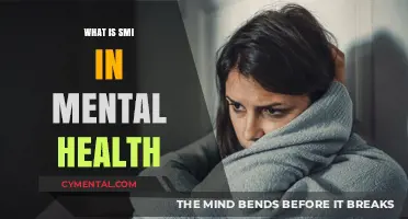 Understanding SMI: A Comprehensive Guide to Serious Mental Illness
