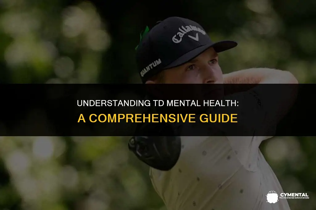 what is td mental health