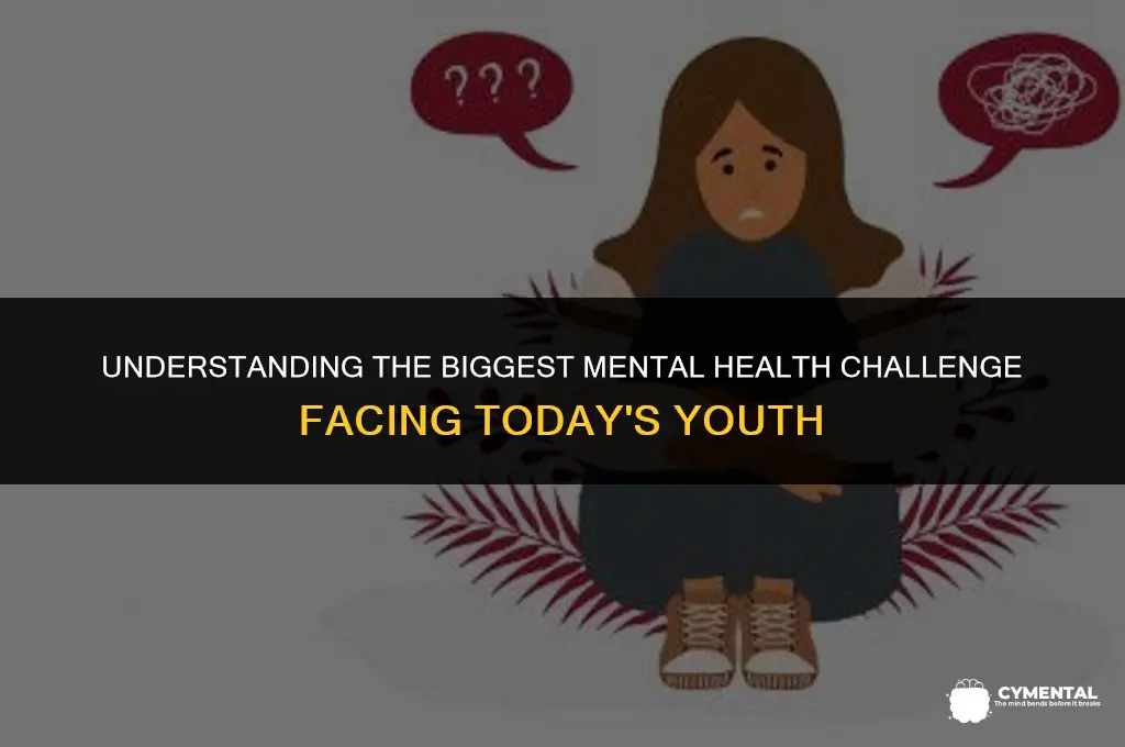what is the biggest mental health issue for youth