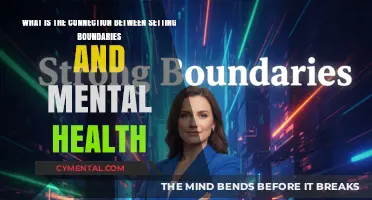 Empowering Mental Wellness: The Transformative Power of Setting Boundaries