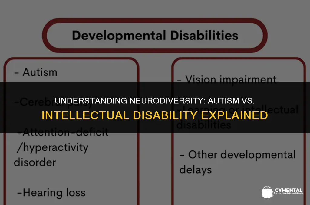 what is the difference between autism and mental retardation