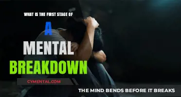 Unraveling the Mind: Recognizing the First Stage of a Mental Breakdown