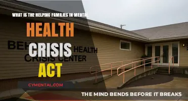 Understanding the Helping Families in Mental Health Crisis Act: A Guide