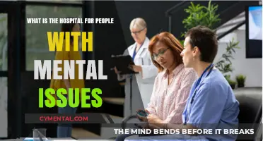 Understanding Mental Health Hospitals: A Guide to Psychiatric Care