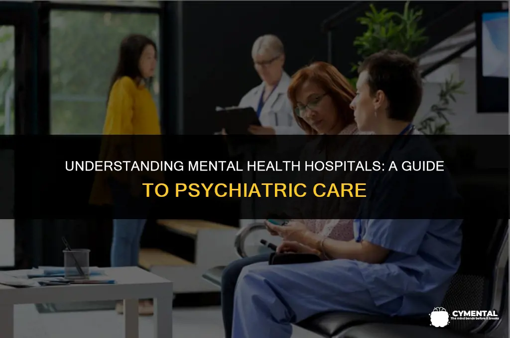 what is the hospital for people with mental issues